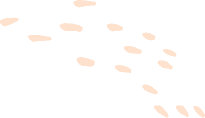 shape 08 01 2 1